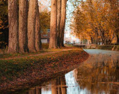 FRÉQUENTATION VÉLOROUTES : LES CHIFFRES DE DÉCEMBRE 2022