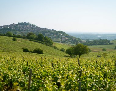 1ER BILAN DE LA SAISON ESTIVALE 2023