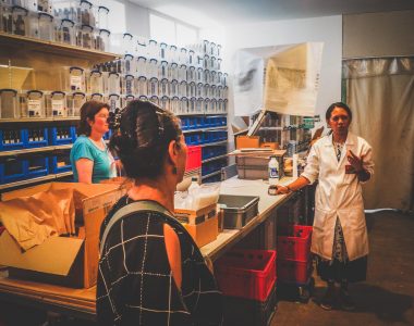 BILAN DES VISITES SECRÈTES 2023