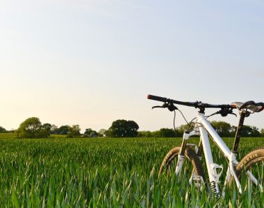 SUIVI DE L’ACTIVITÉ DES VÉLOROUTES EN AVRIL 2024