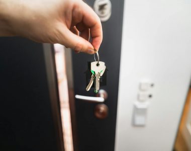 SUIVI DE L’ACTIVITÉ DES PLATEFORMES LOCATIVES : DECEMBRE 2024