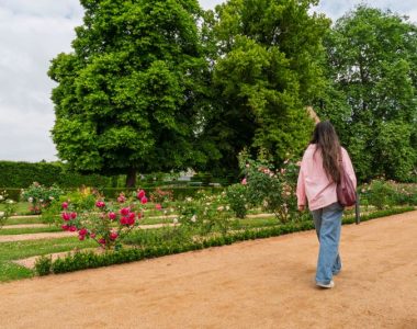 FREQUENTATION DES SITES, MONUMENTS ET MUSEES EN 2025 : QUELLES DYNAMIQUES POUR LES PRINCIPAUX SITES DU CHER ?